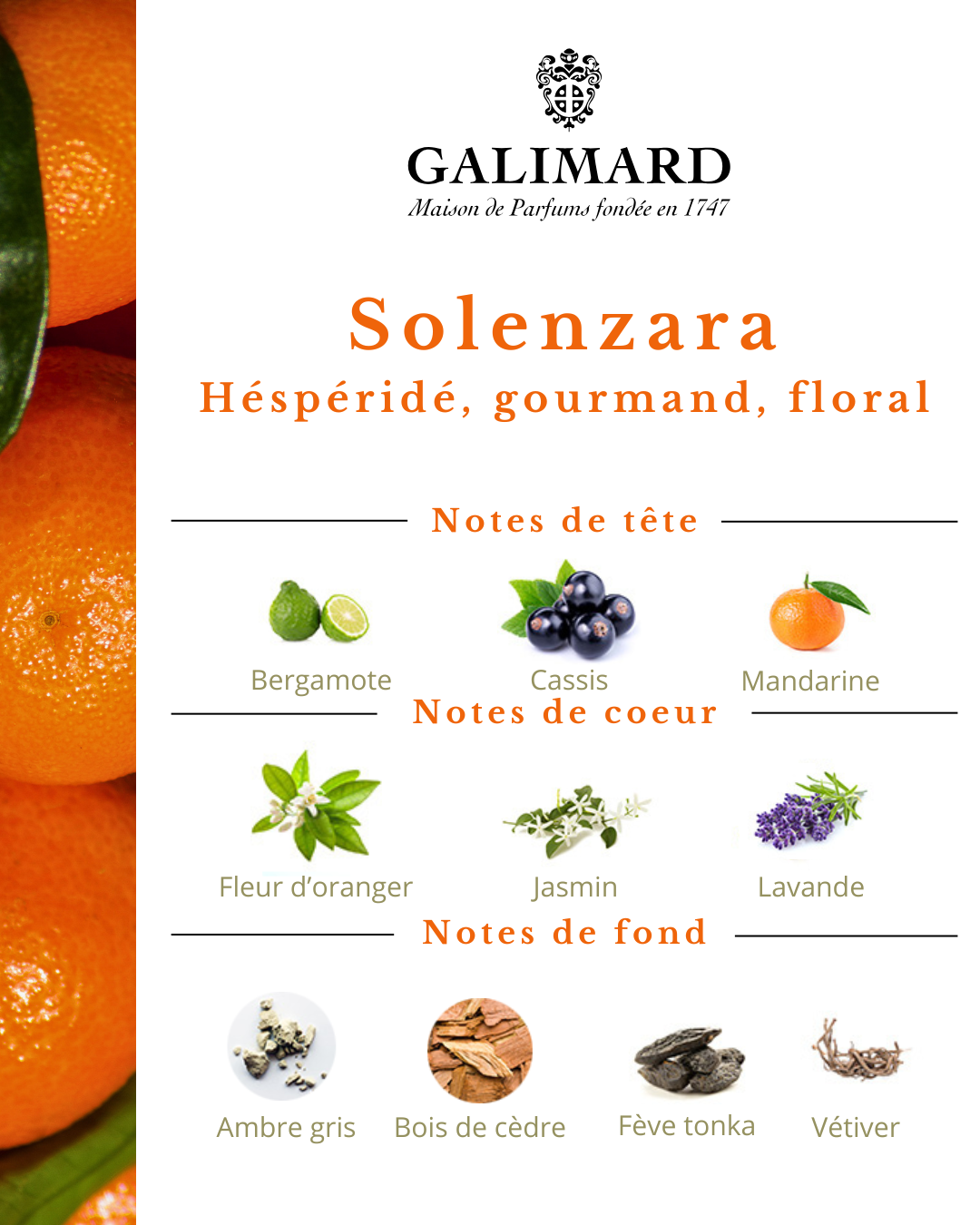Solenzara - GALIMARD Éffluves Provençales