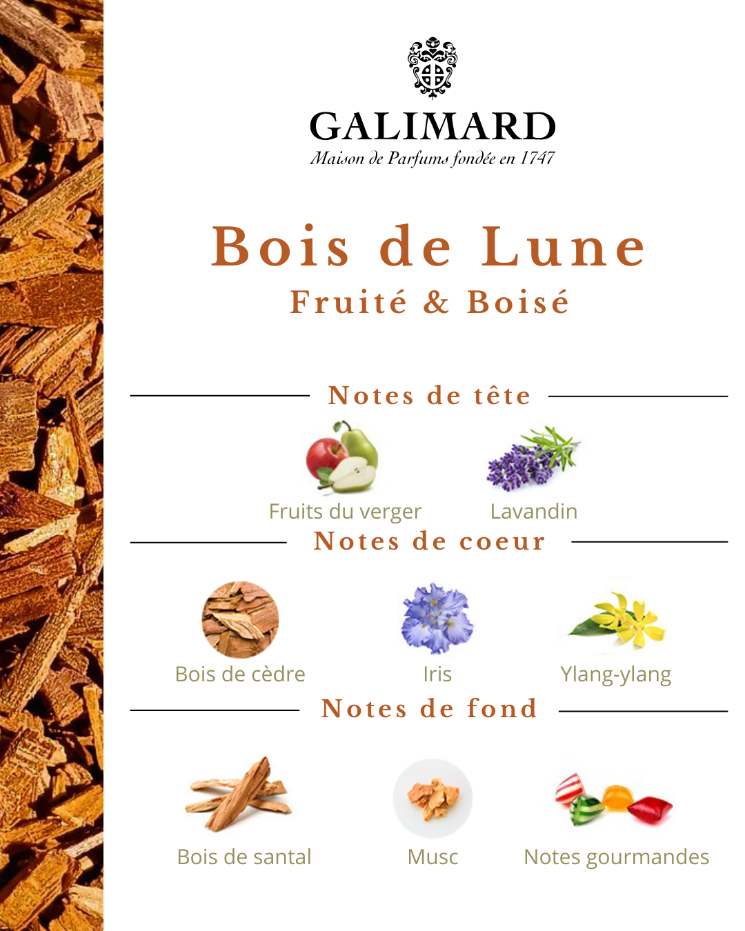 Bois de Lune - GALIMARD Éffluves Provençales