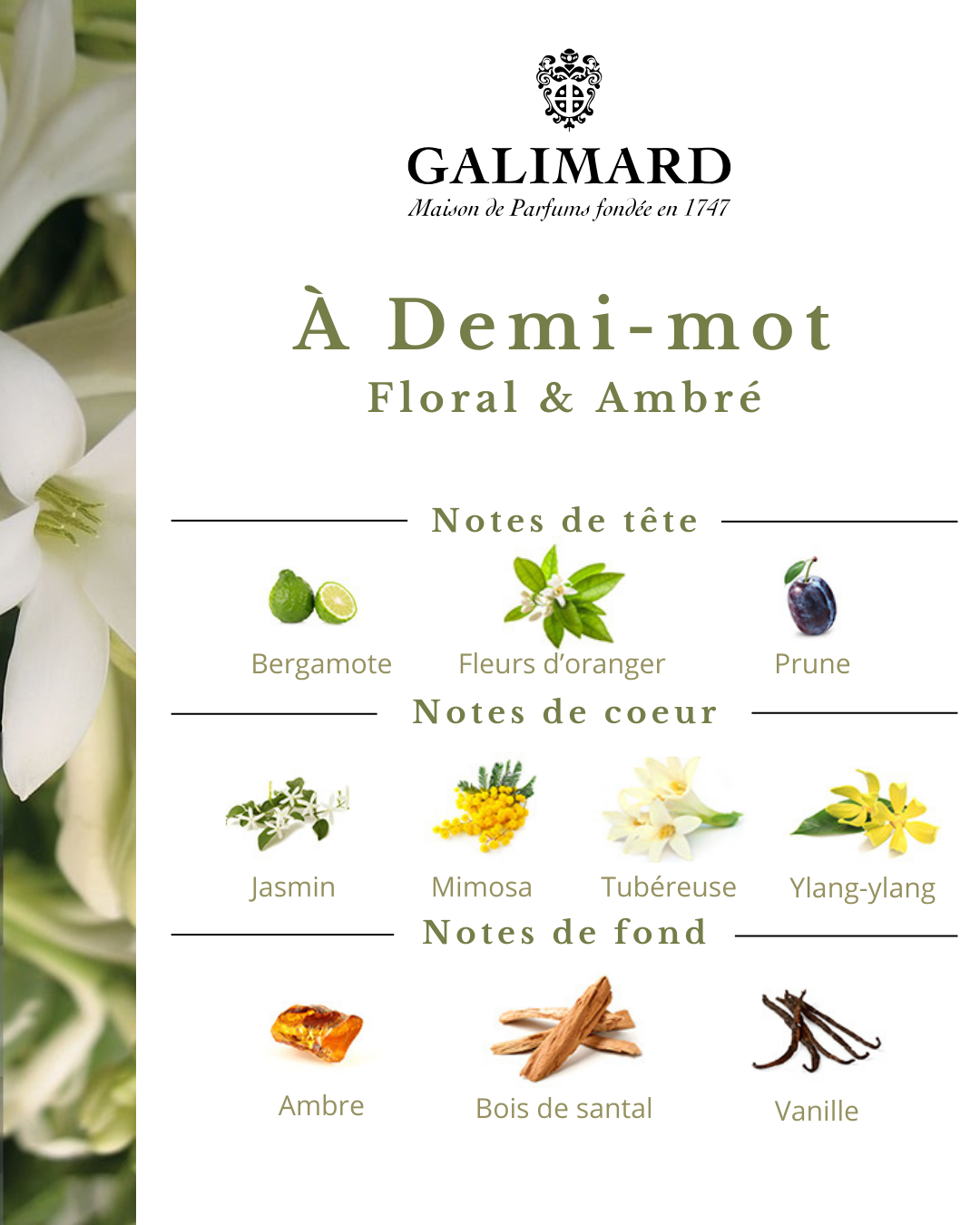À Demi-mot- GALIMARD Éffluves Provençales