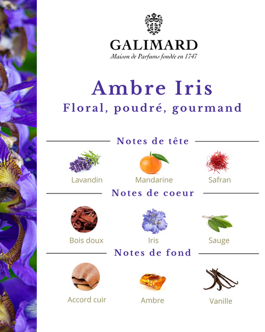 Ambre Iris - GALIMARD Éffluves Provençales