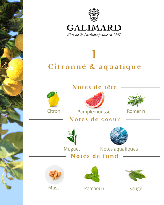 1 - GALIMARD Éffluves Provençales