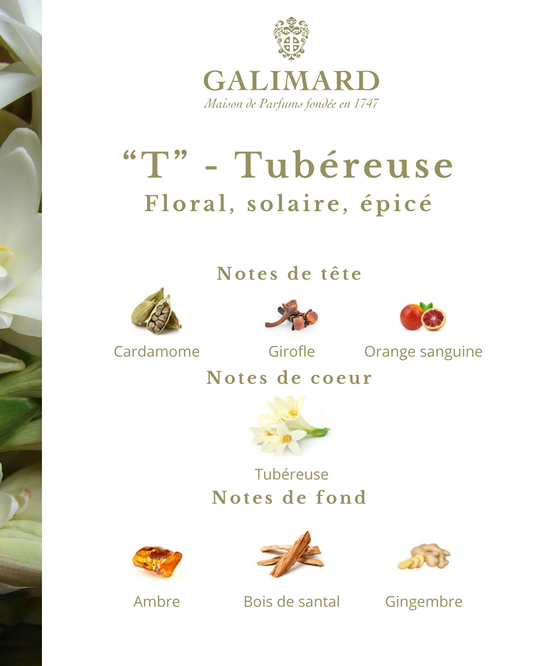 T - HÉRITAGE Éffluves Provençales