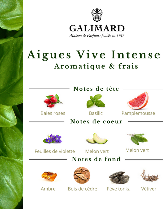 Aigues Vives Intense - GALIMARD Éffluves Provençales