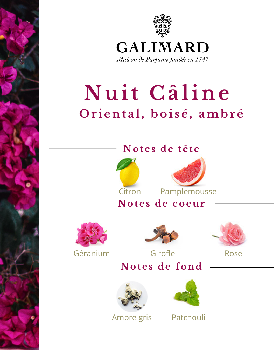 Nuit Câline - GALIMARD Éffluves Provençales
