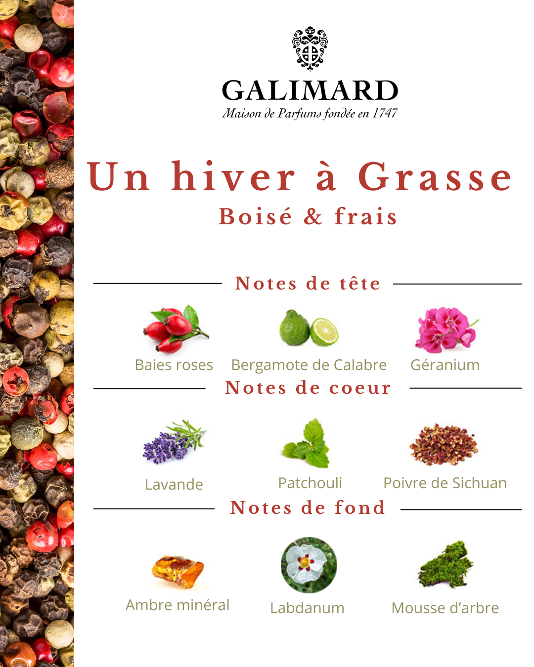 Un Hiver à Grasse - GALIMARD Éffluves Provençales