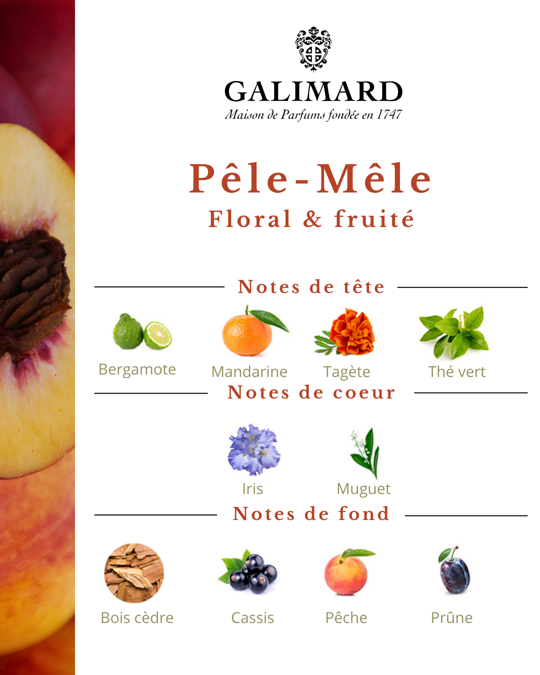 Pêle-Mêle - GALIMARD Éffluves Provençales