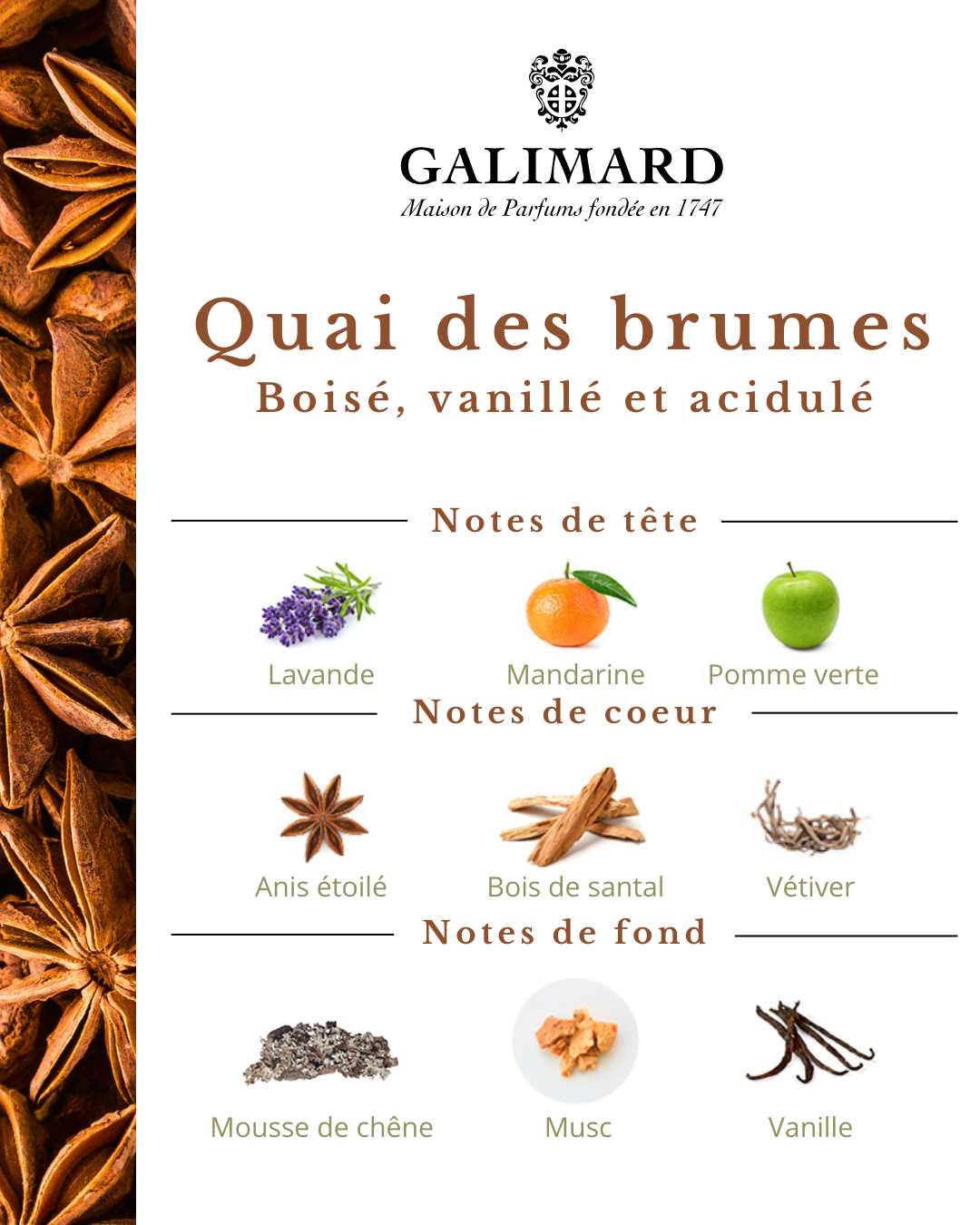 Quai des Brumes - GALIMARD Éffluves Provençales