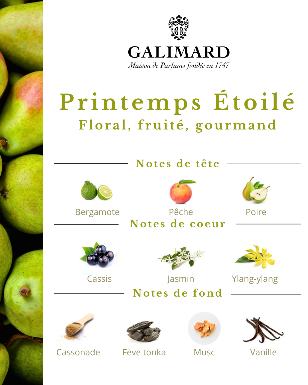 Printemps Étoilé - GALIMARD Éffluves Provençales