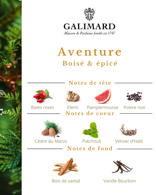 Aventure - GALIMARD Éffluves Provençales
