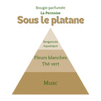 Bougie Sous Le Platane 230ml Éffluves Provençales