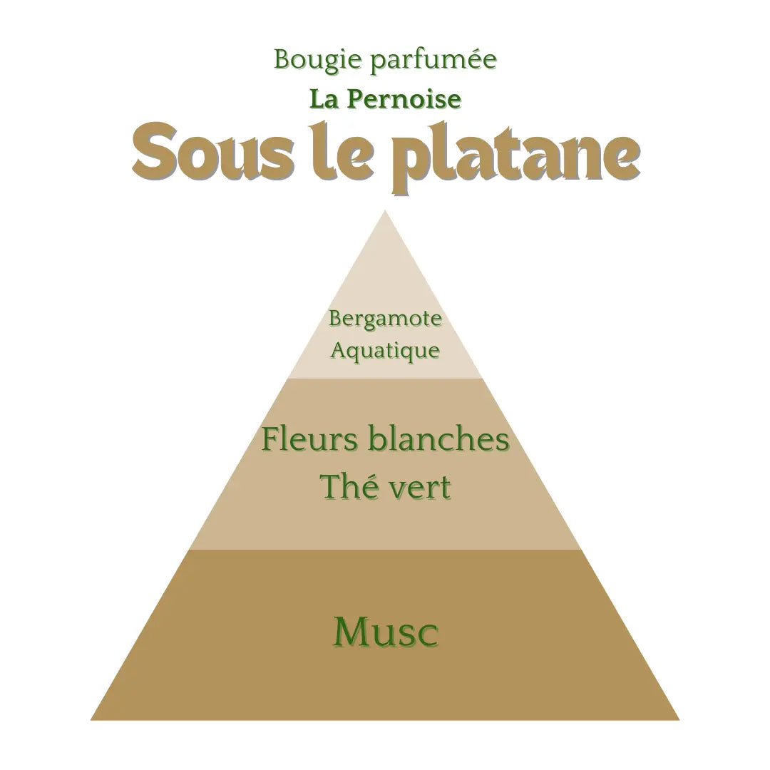 Bougie Sous Le Platane 230ml Éffluves Provençales