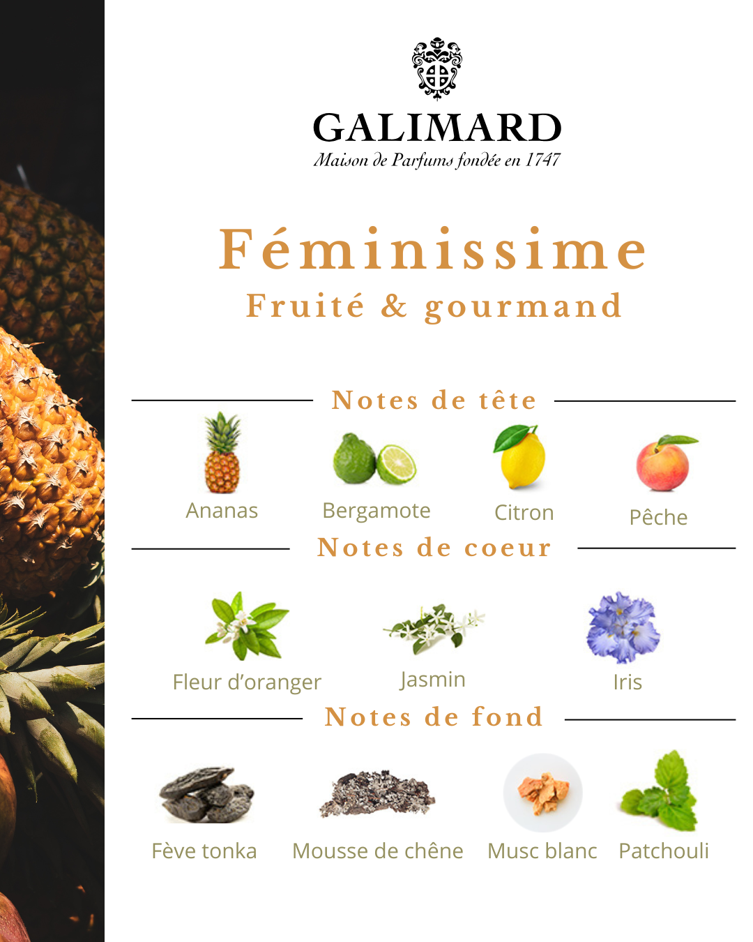 Féminissime - GALIMARD Éffluves Provençales
