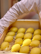 Savon trompe l'oeil citron 125gr Éffluves Provençales