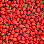 Savon liquide de Marseille Eglantine, 1L Éffluves Provençales