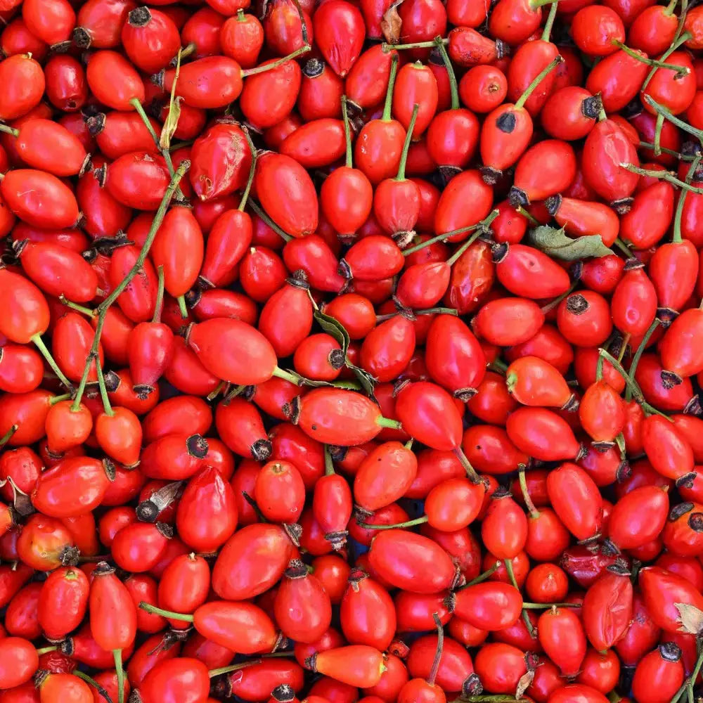 Savon liquide de Marseille Eglantine, 1L Éffluves Provençales