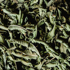 Savon liquide de Marseille Verveine, 1L Éffluves Provençales