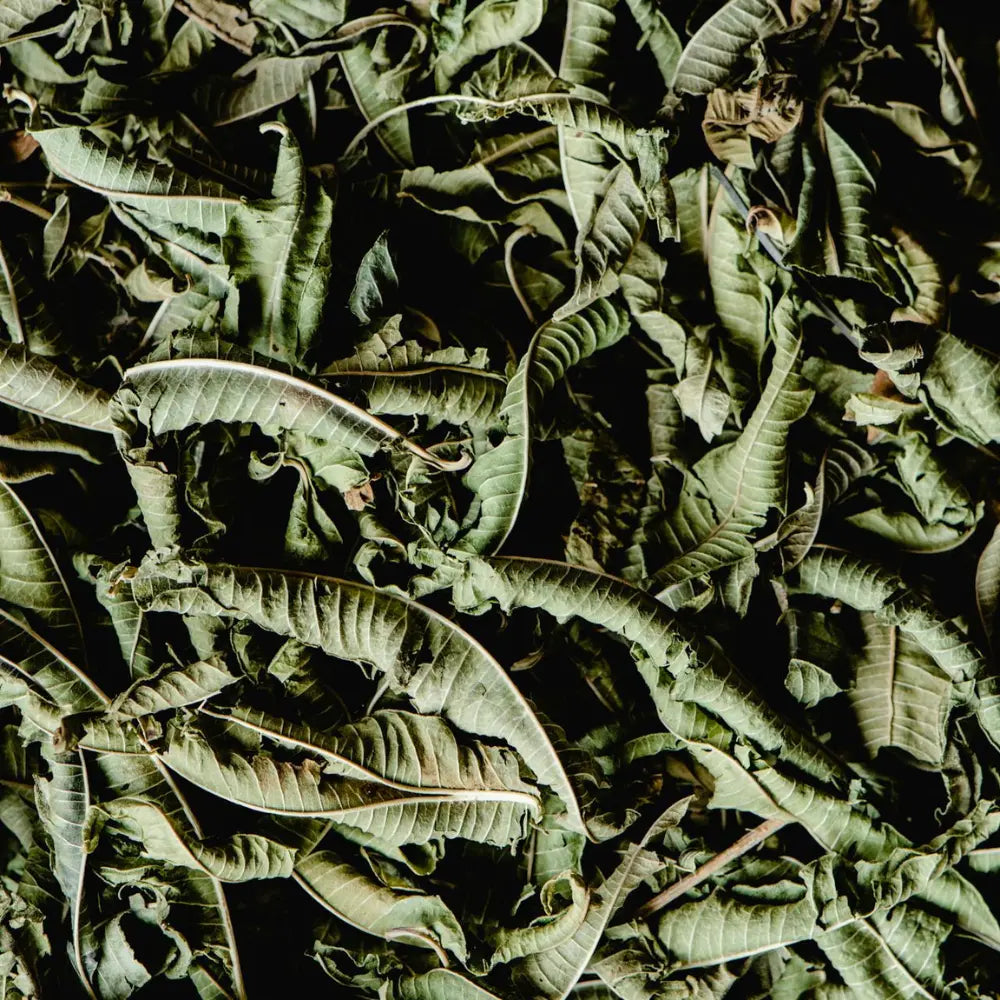 Savon liquide de Marseille Verveine, 1L Éffluves Provençales