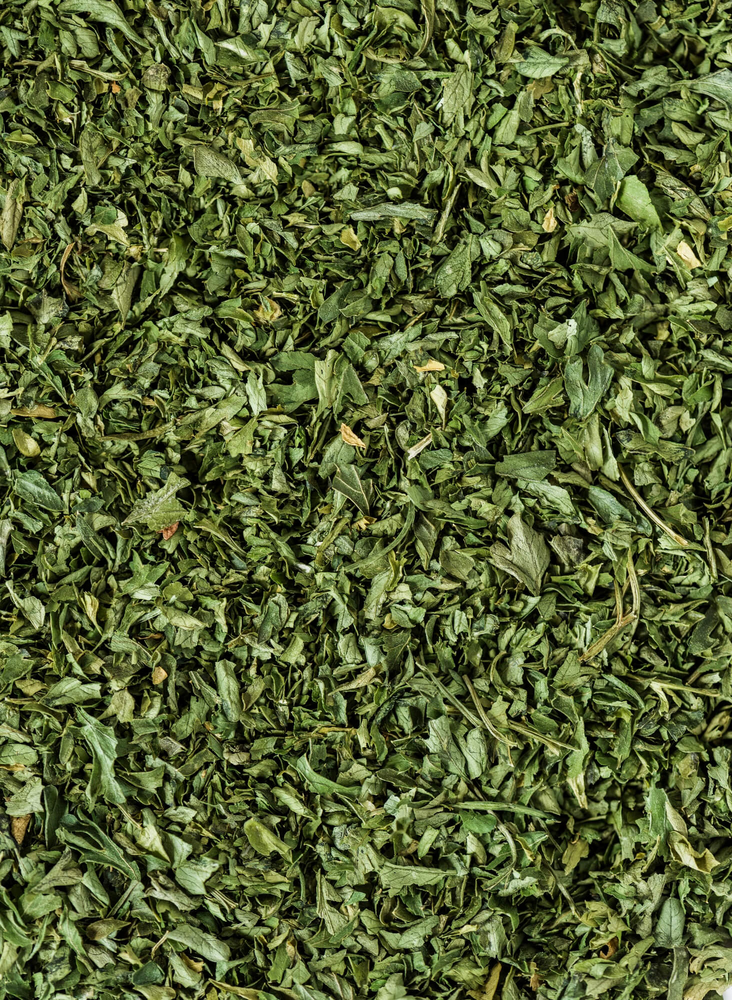 Thé vert – note olfactive du parfum Blanc d’Azur